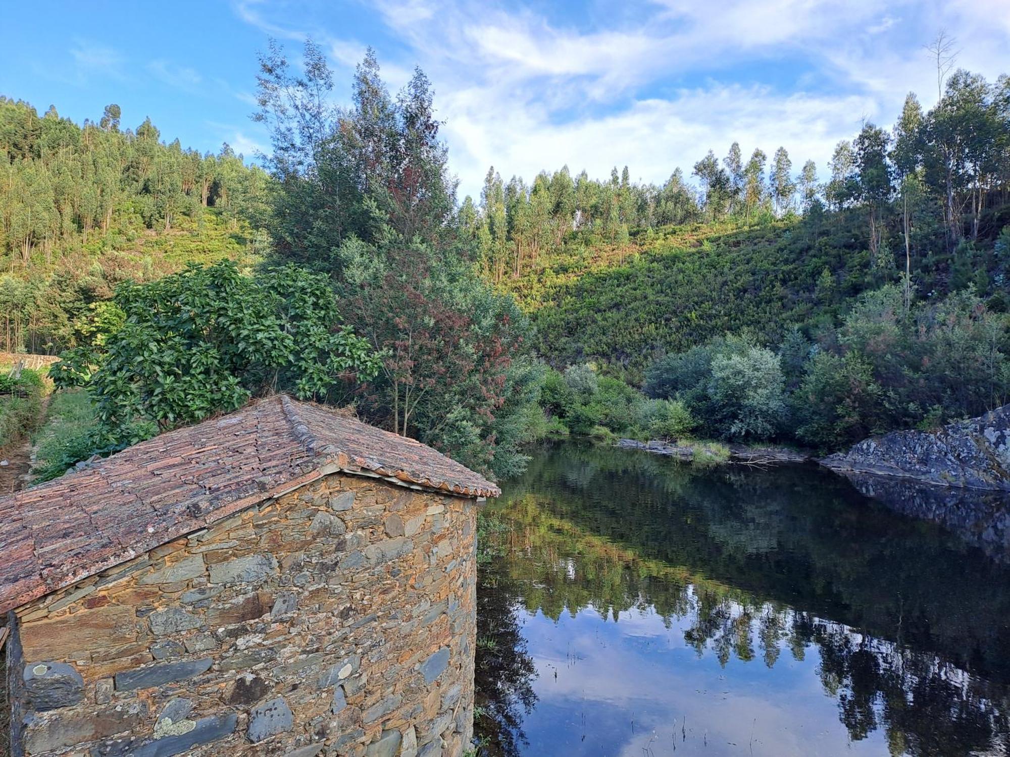 Vista Castelo Bed & Breakfast Sertã Eksteriør bilde